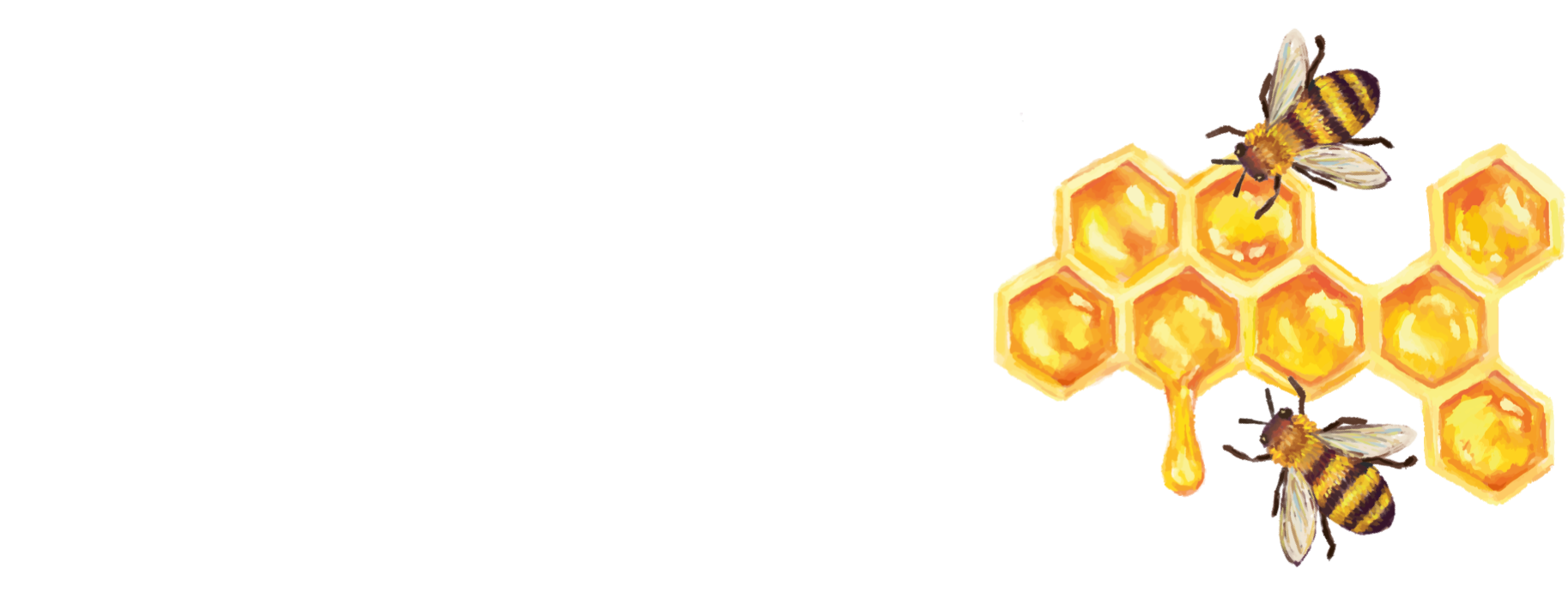 Imkerei Holzapfel